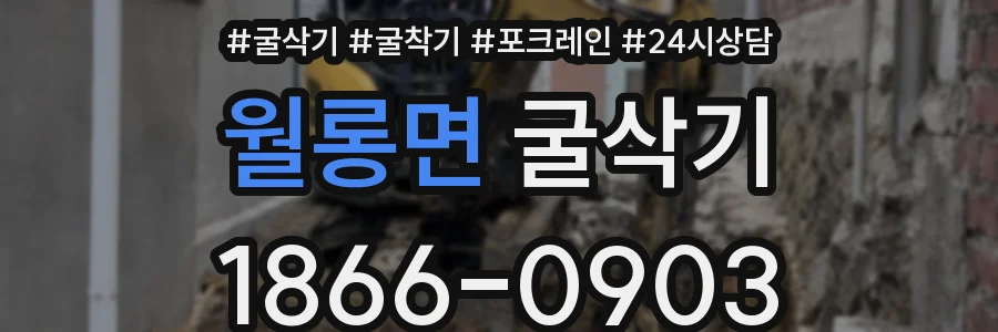 월롱면 굴삭기