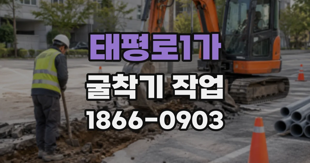 태평로1가 굴착기작업