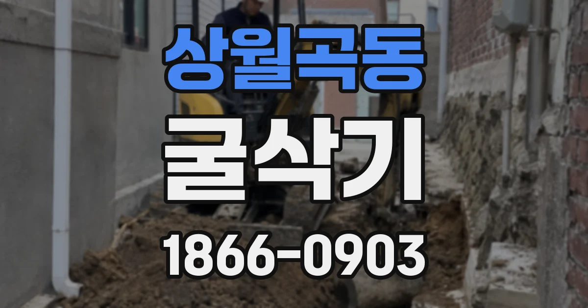 상월곡동 굴삭기