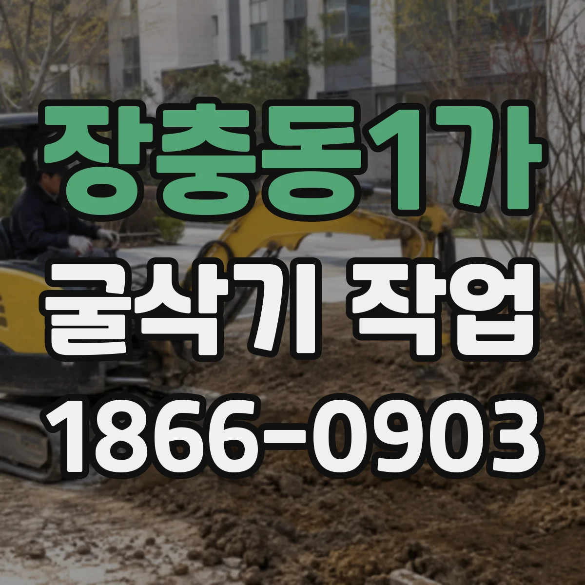 장충동1가 굴삭기 작업