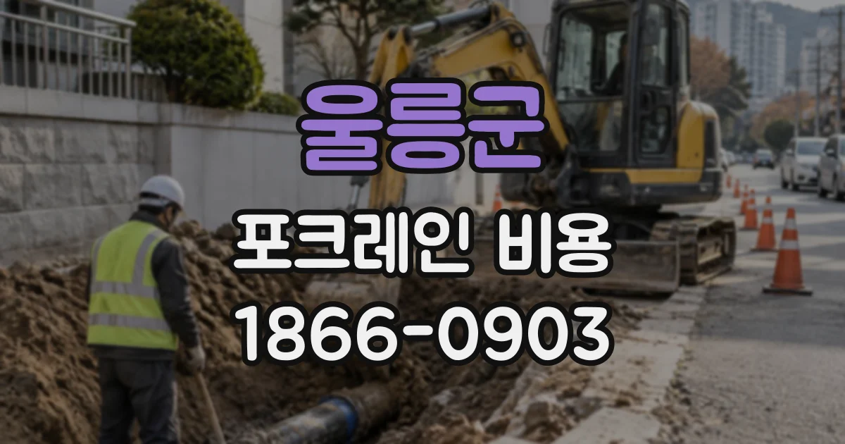 울릉군 포크레인비용