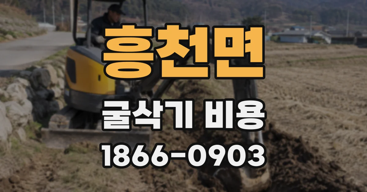 흥천면 굴삭기 비용