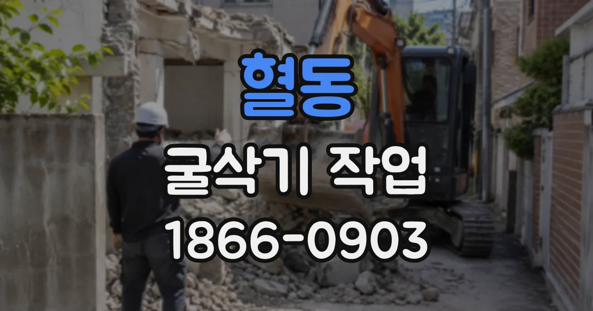 혈동 굴삭기작업
