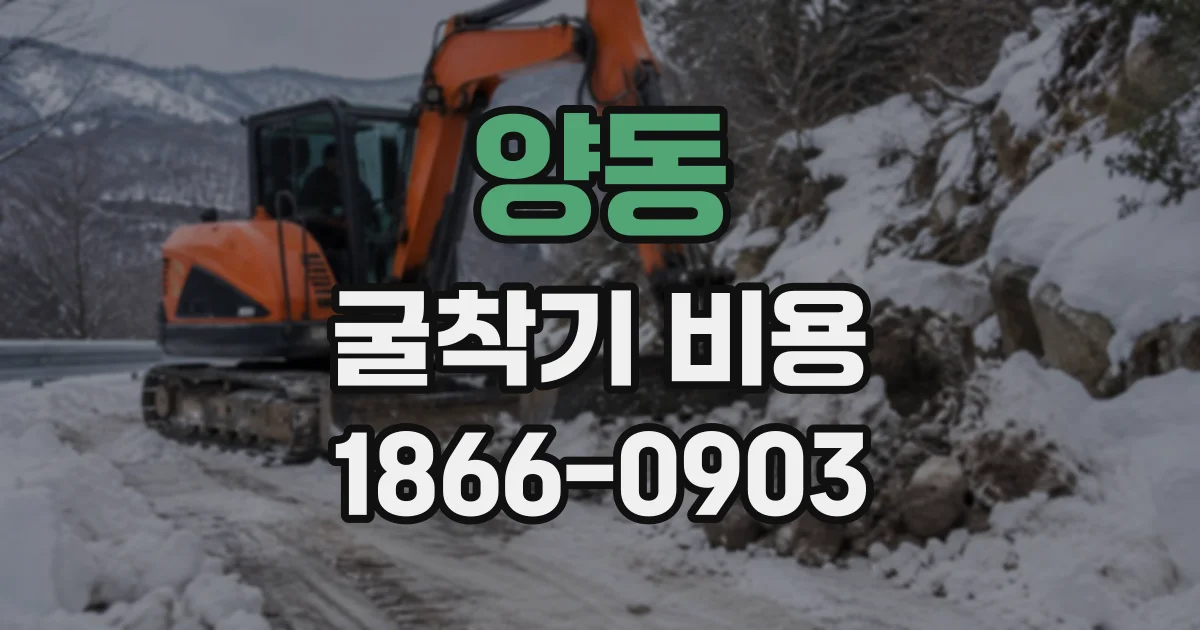 양동 굴착기비용