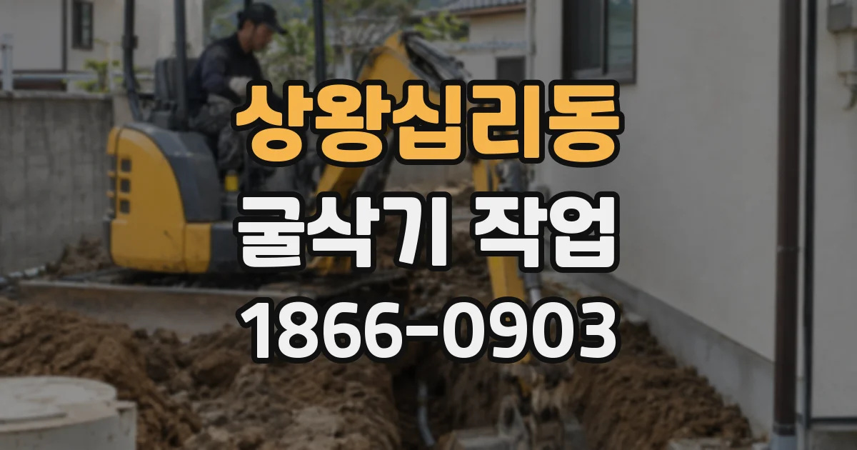 상왕십리동 굴삭기 작업