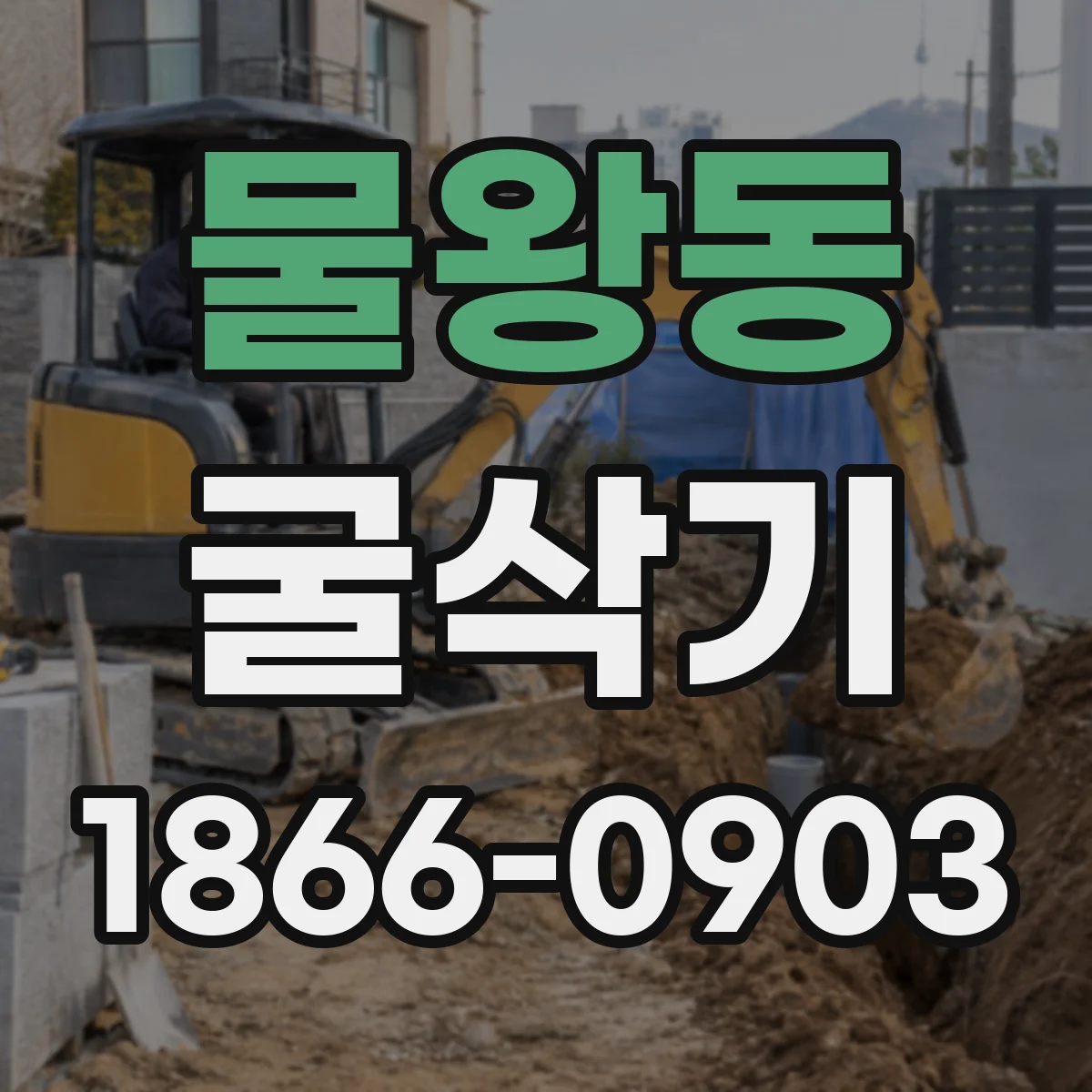 물왕동 굴삭기