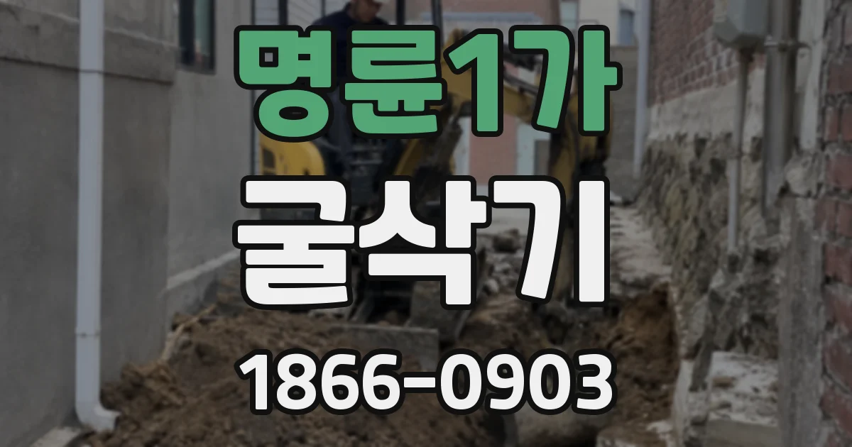 명륜1가 굴삭기