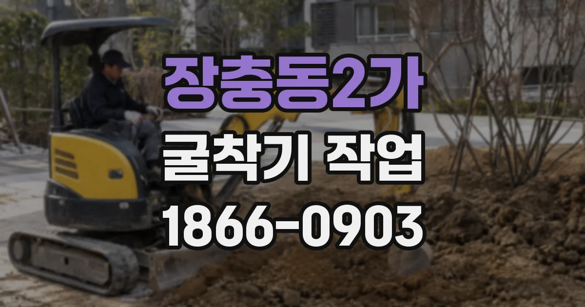 장충동2가 굴착기 작업