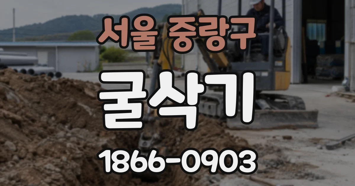 서울 중랑구 굴삭기