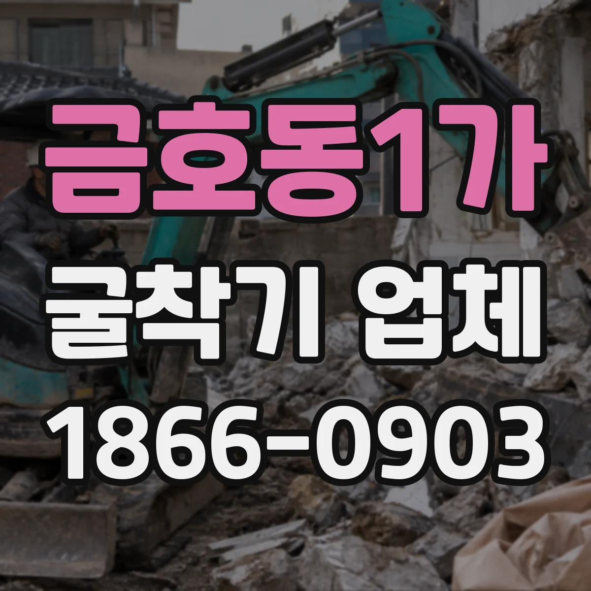 금호동1가 굴착기 업체