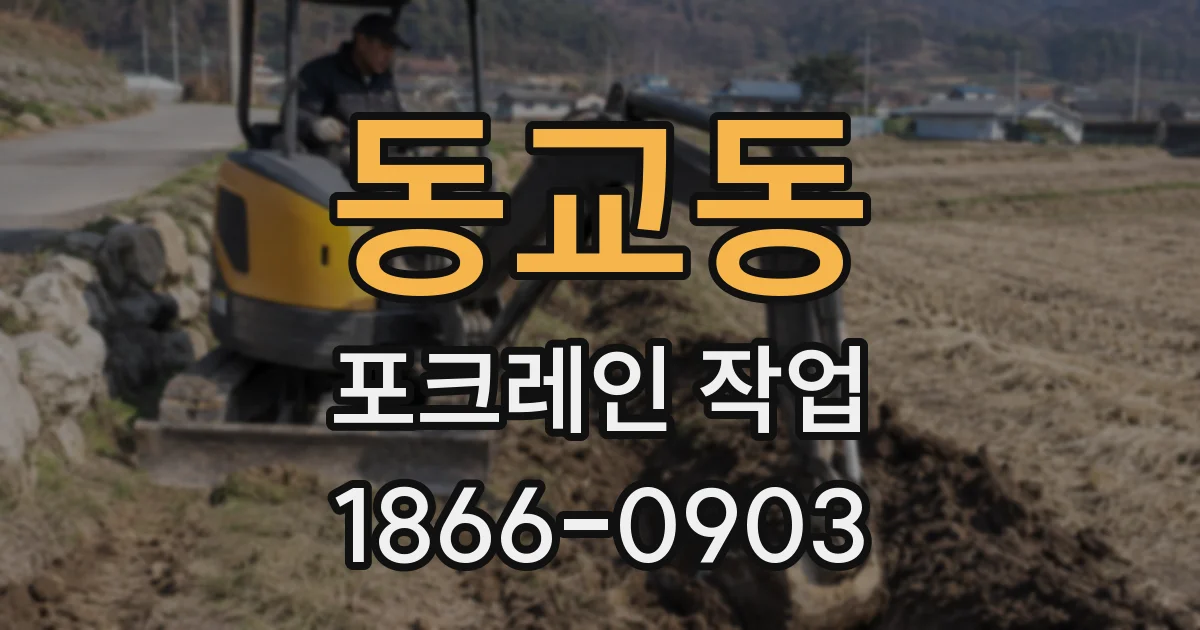 동교동 포크레인 작업