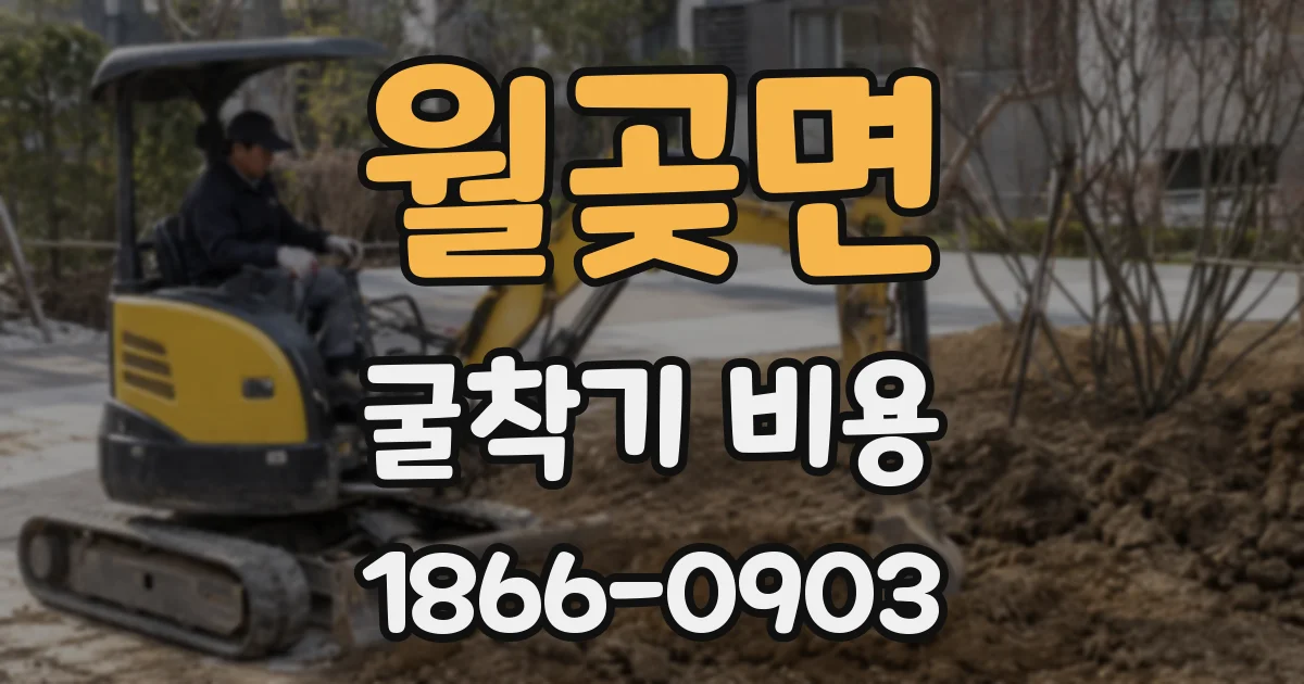 월곶면 굴착기 비용