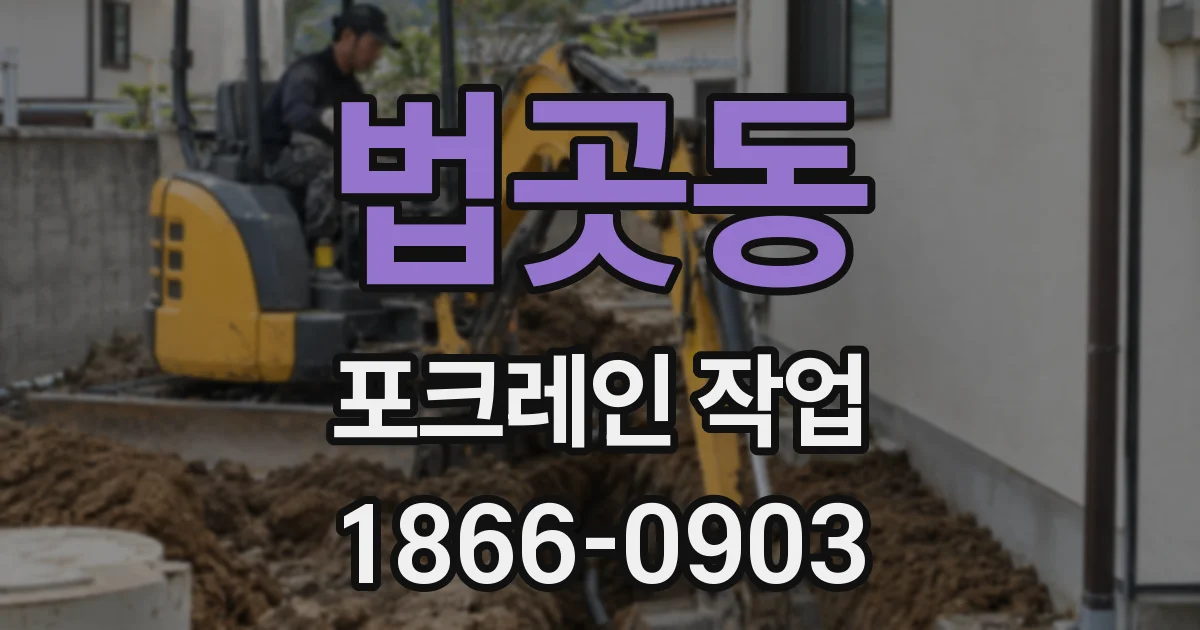 법곳동 포크레인 작업