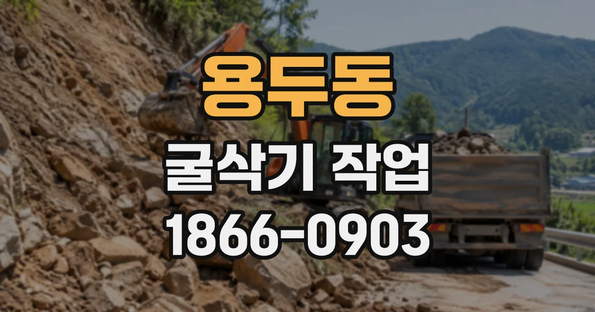 용두동 굴삭기작업
