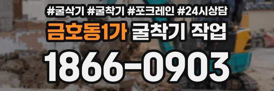 금호동1가 굴착기 작업