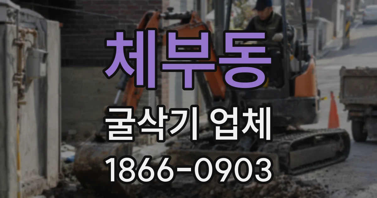 체부동 굴삭기 업체