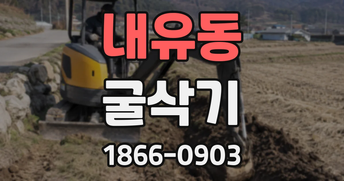 내유동 굴삭기