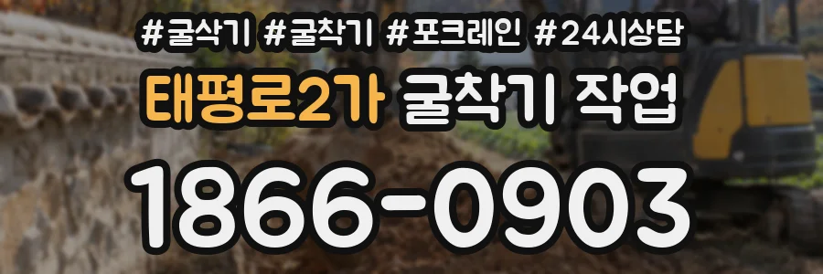 태평로2가 굴착기 작업