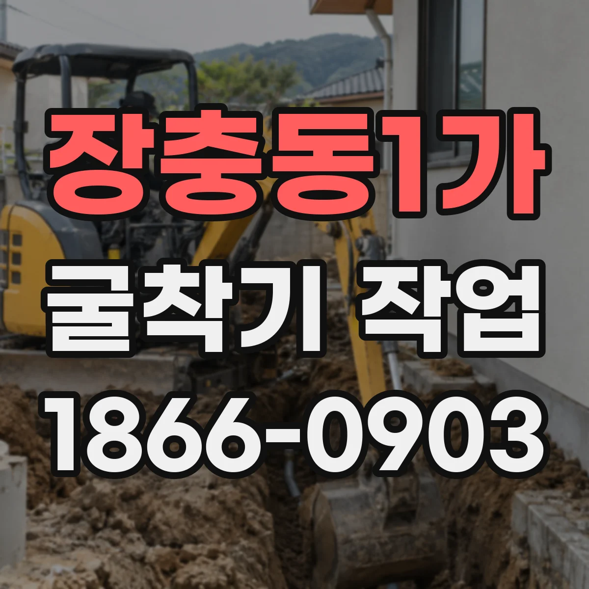 장충동1가 굴착기 작업