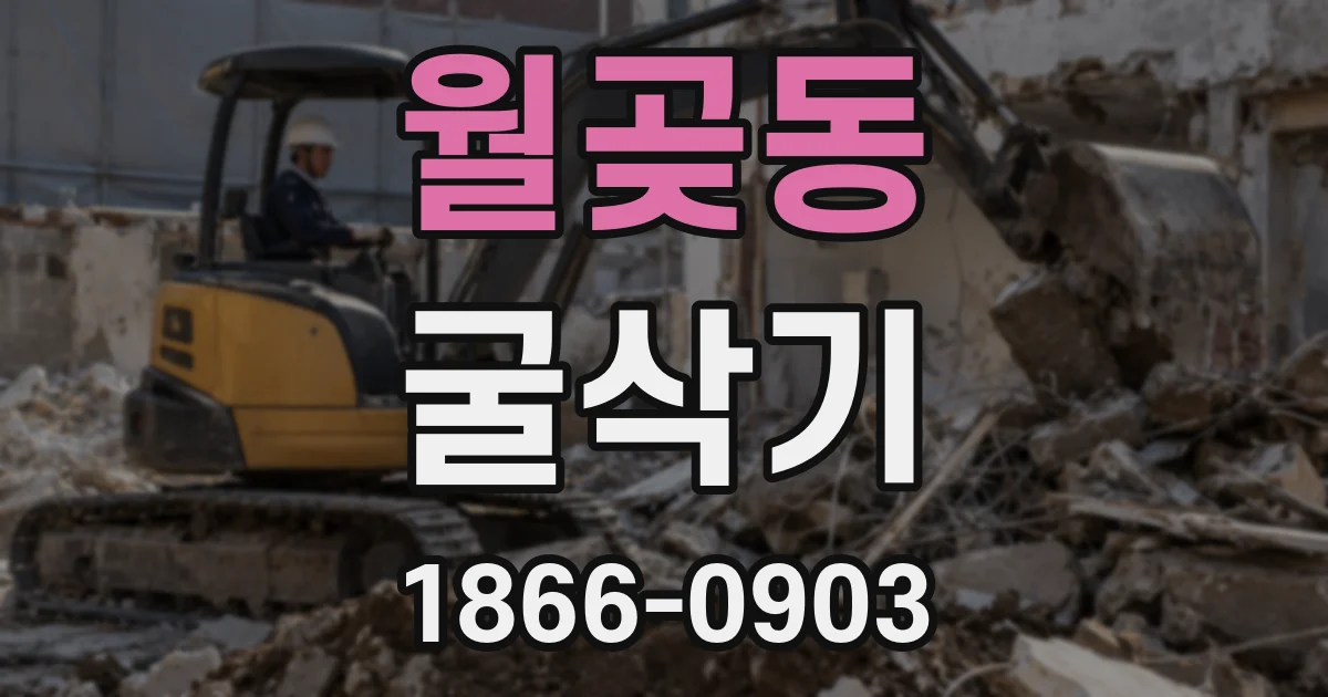 월곶동 굴삭기