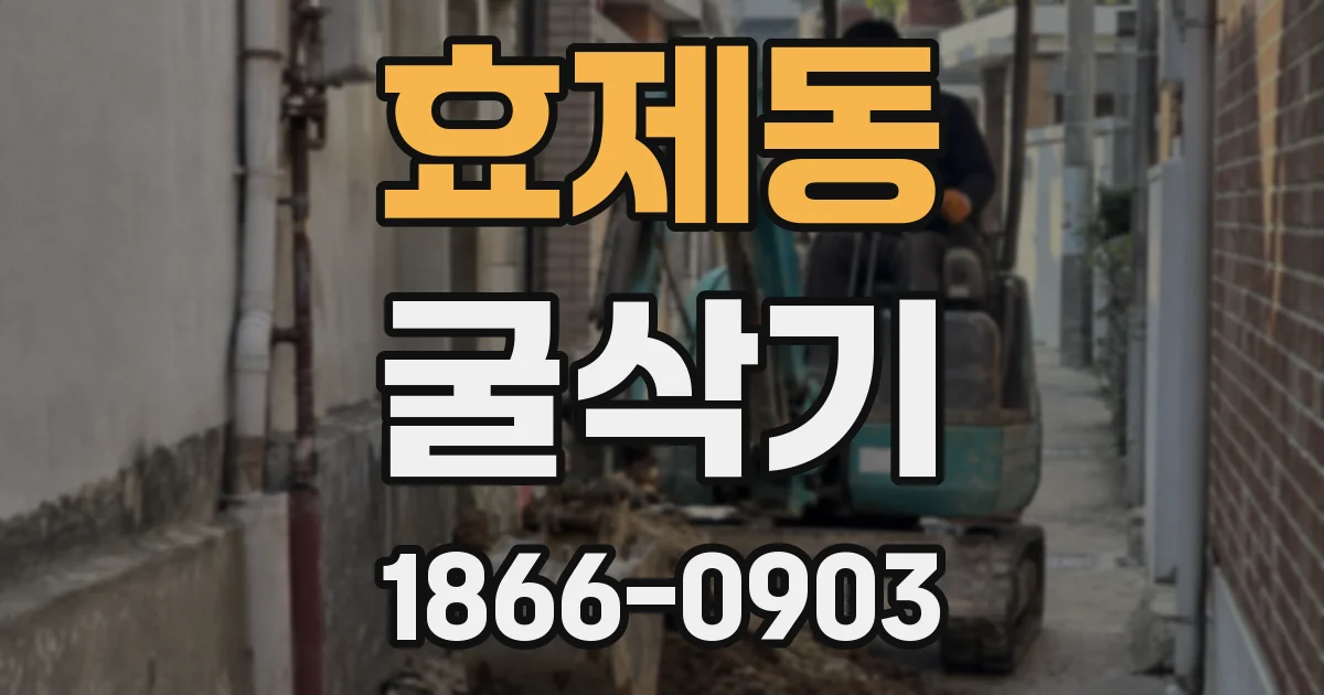 효제동 굴삭기