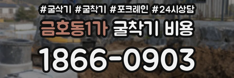 금호동1가 굴착기 비용