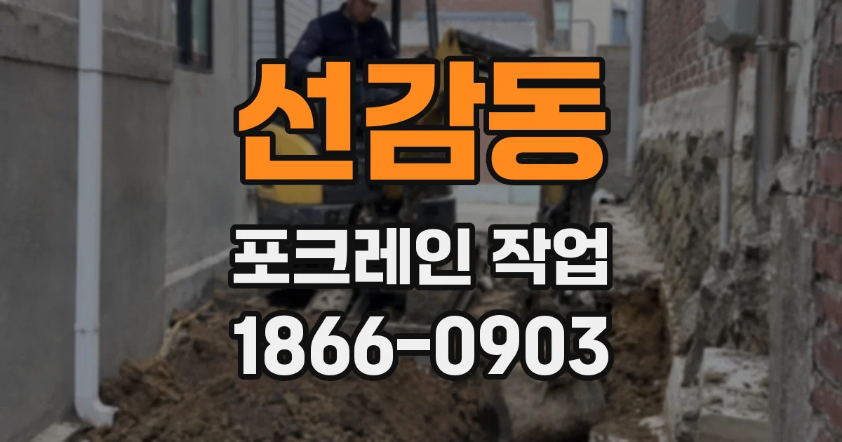 선감동 포크레인 작업