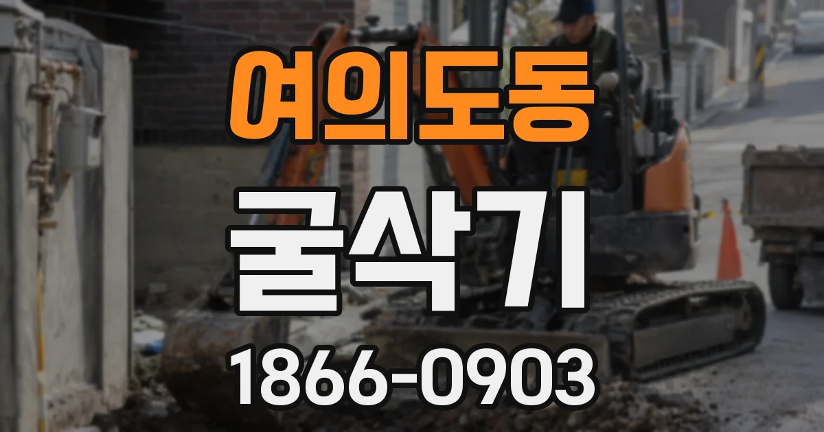 여의도동 굴삭기