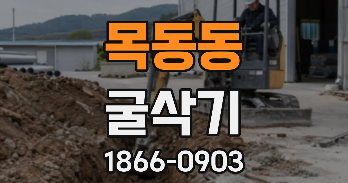 목동동 굴삭기