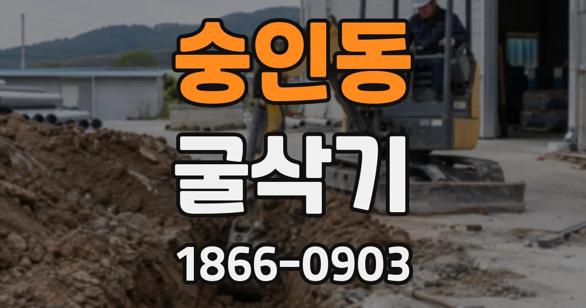 숭인동 굴삭기