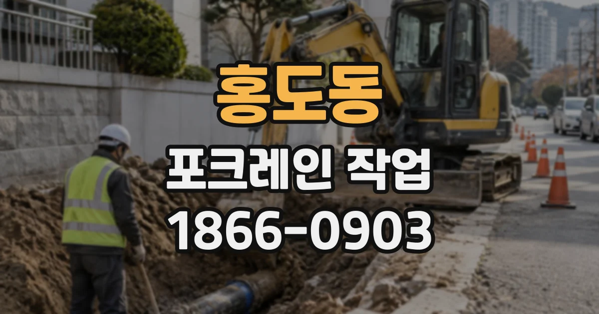 홍도동 포크레인작업