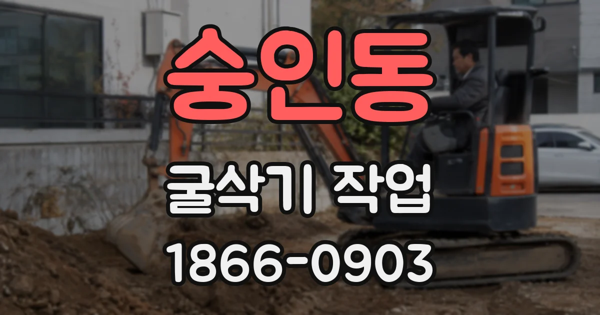 숭인동 굴삭기 작업