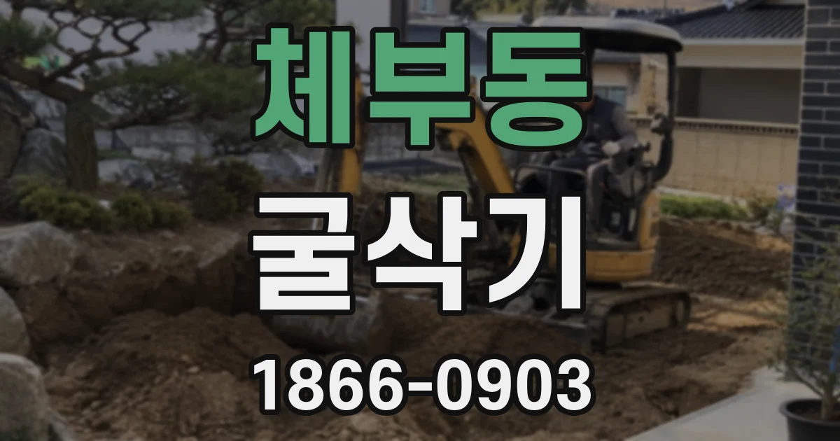 체부동 굴삭기