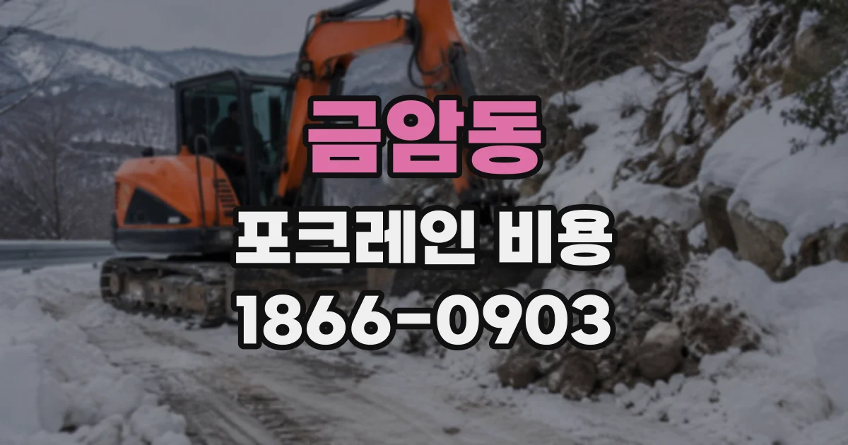 금암동 포크레인비용