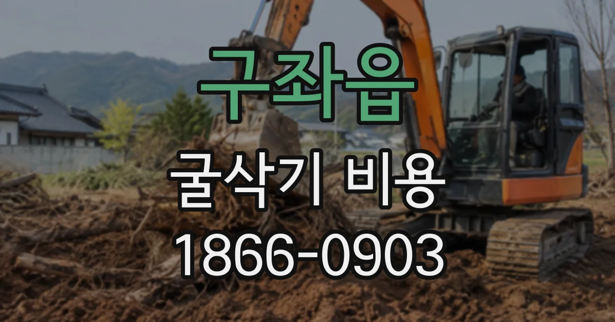 구좌읍 굴삭기비용