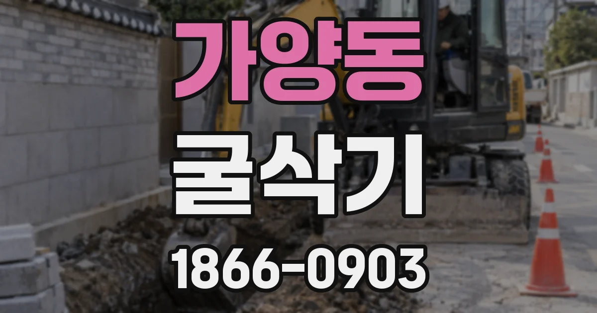 가양동 굴삭기