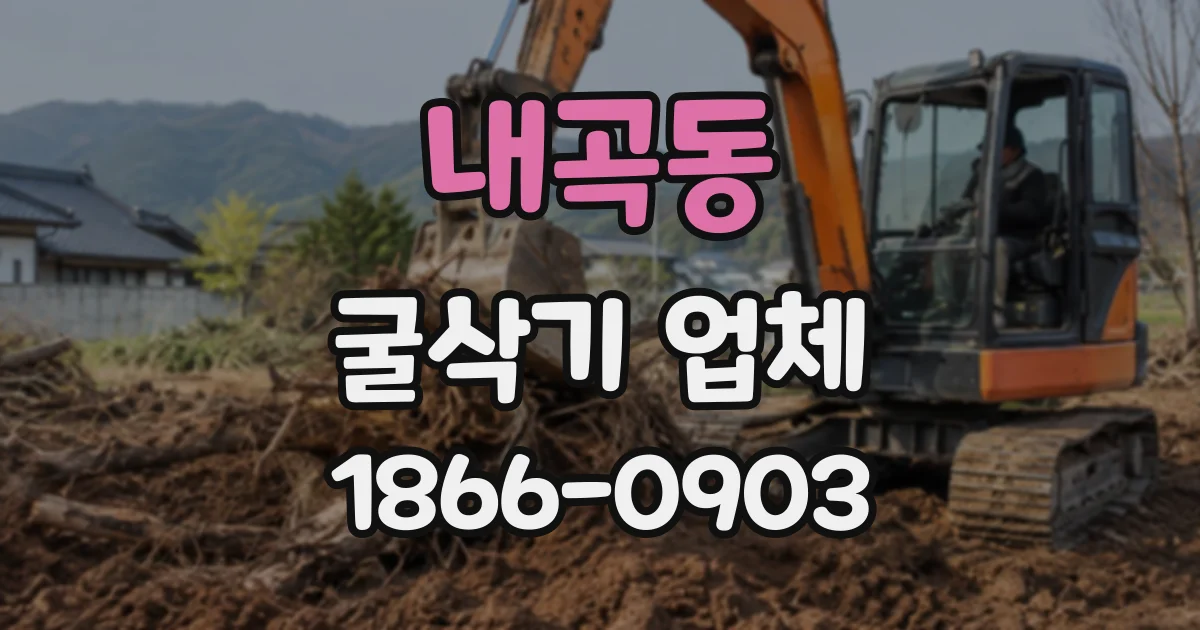 내곡동 굴삭기업체