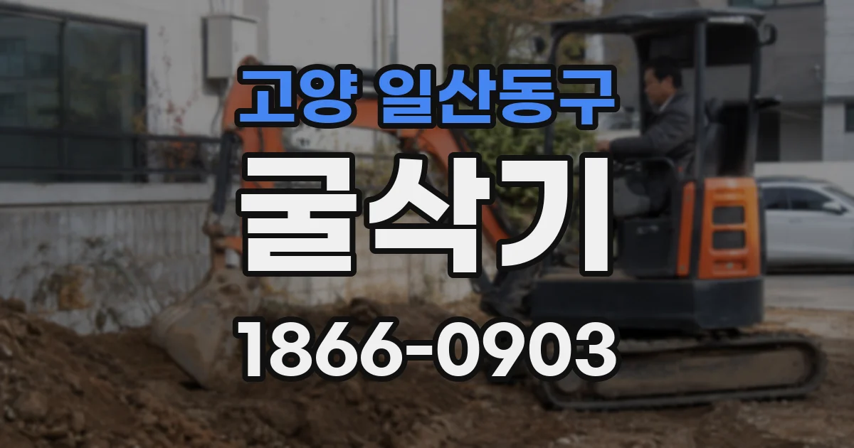 고양 일산동구 굴삭기