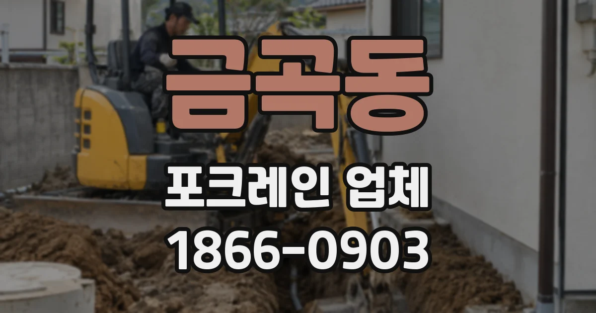 금곡동 포크레인 업체