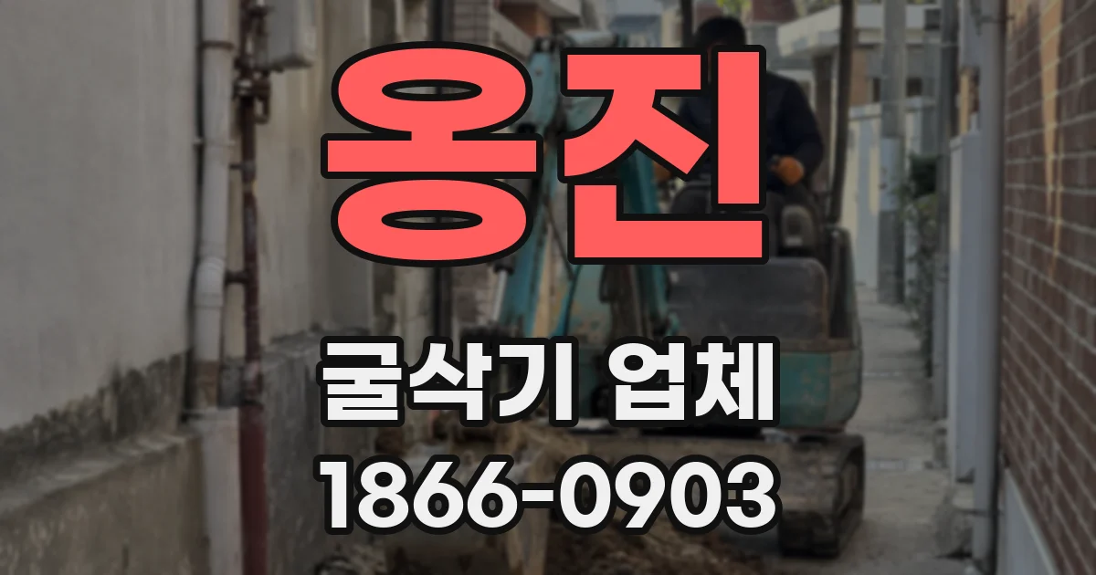 옹진 굴삭기 업체