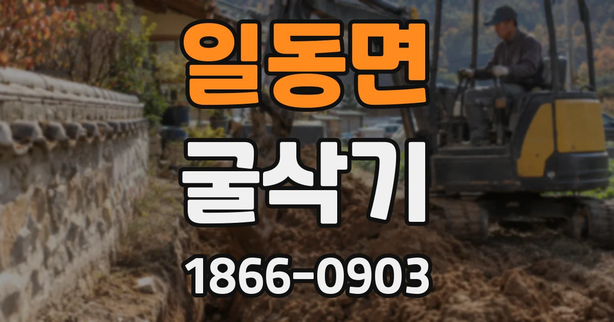 일동면 굴삭기