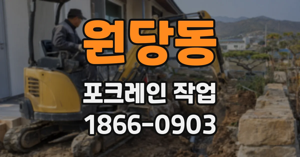 원당동 포크레인 작업