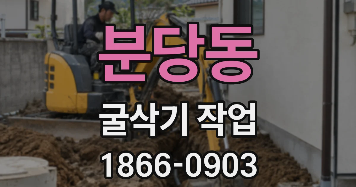 분당동 굴삭기 작업