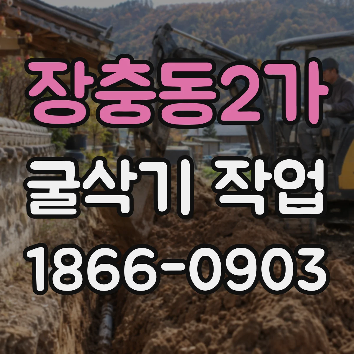 장충동2가 굴삭기 작업