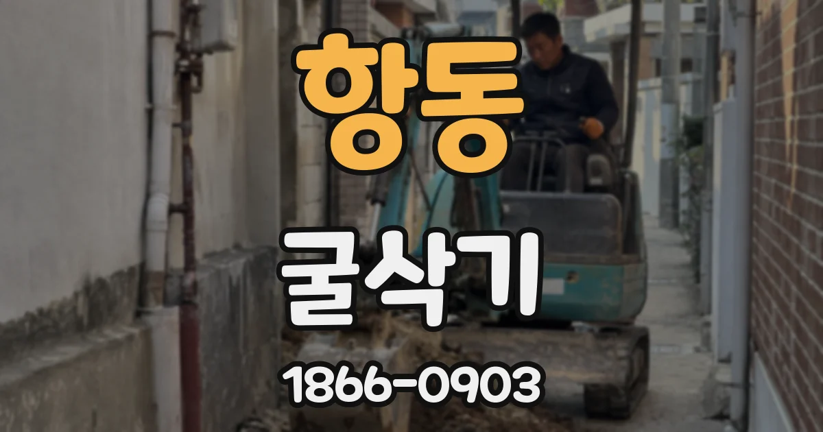 항동 굴삭기