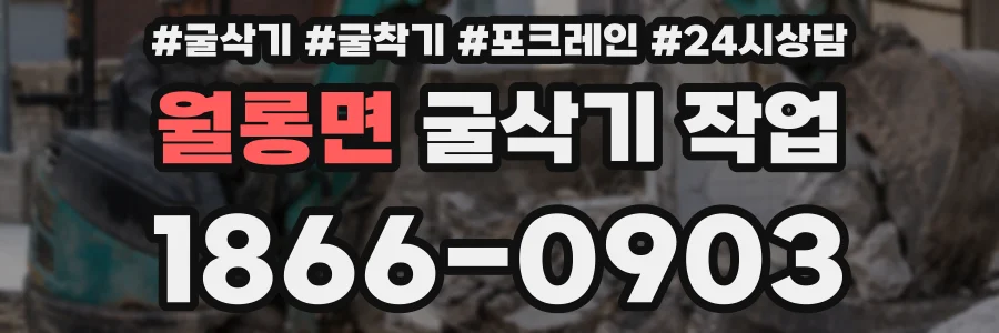 월롱면 굴삭기 작업