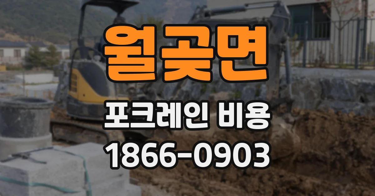 월곶면 포크레인 비용