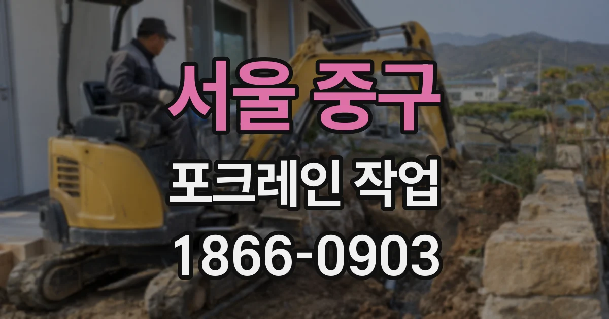 서울 중구 포크레인 작업
