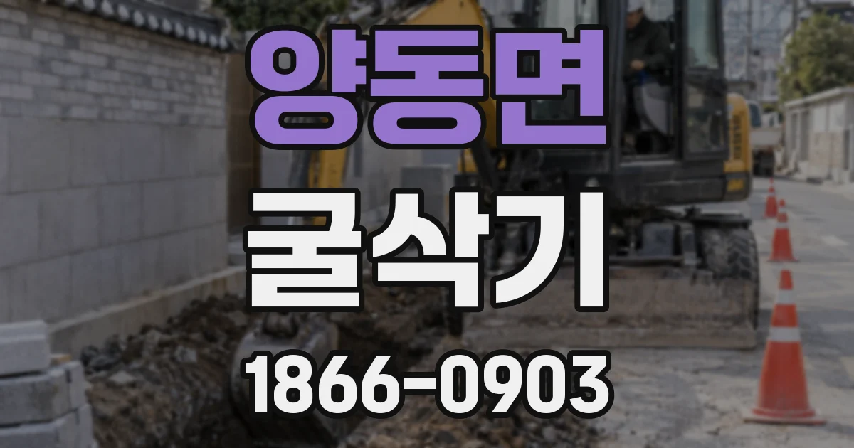 양동면 굴삭기