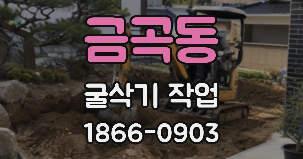 금곡동 굴삭기 작업